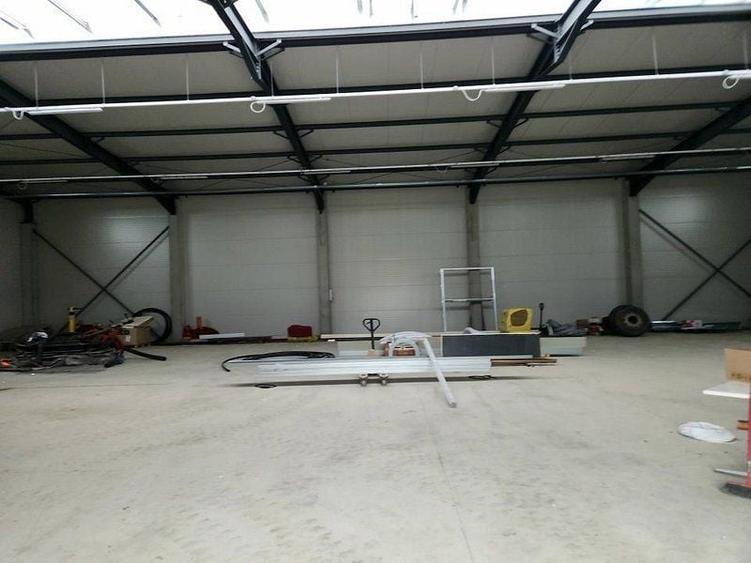 Pantelimon DN3 hala 600 mp - 9