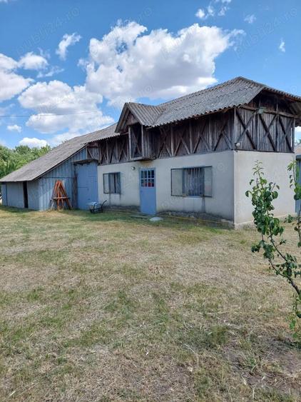 Vand casa cu livada in satul Ionesti Arges - 8