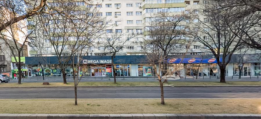 Spatiu comercial de inchiriat Sos. Nicolae Titulescu nr. 95-103 - 1