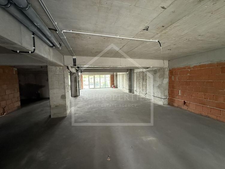 Spatiu Comecial 155 MP UTILI - 6