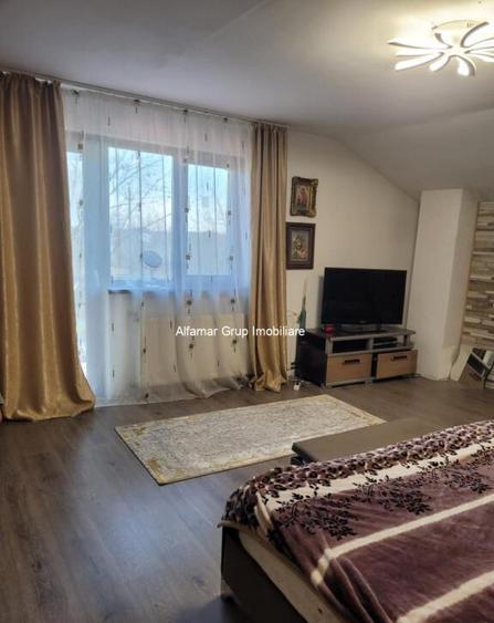 Vanzare proprietate cu 2 case Zurbaua- Dragomiresti Vale - 3