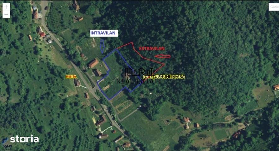 Teren, padure si casa in Dumbrava de Jos, jud. Hunedoara - 12