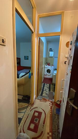 Colentina Teiul Doamnei - 3