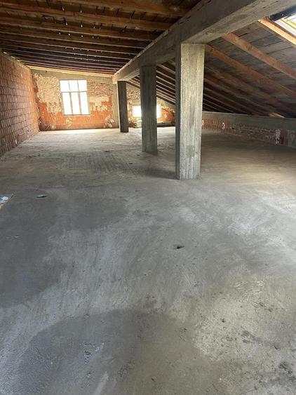 Domeniu 12.000 mp + casa | 37 km Bucure?ti | ideal investi?ie parcelare - 5