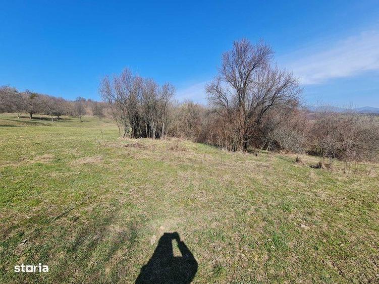 Teren ideal pt cabana , picnic sau casuta de vacanta la 8 km - 2