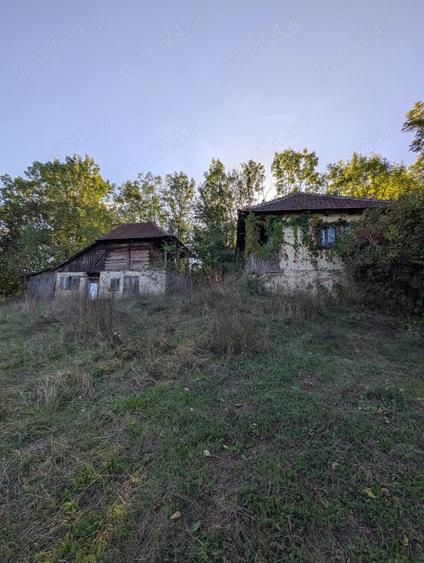 Casa ?araneasca cu livada ?i gradina mare,Vata de jos,Hunedoara - 6