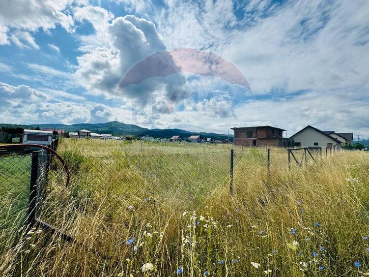 Teren 1,016mp Sighetu Marmatiei / Strada Doboies - 2
