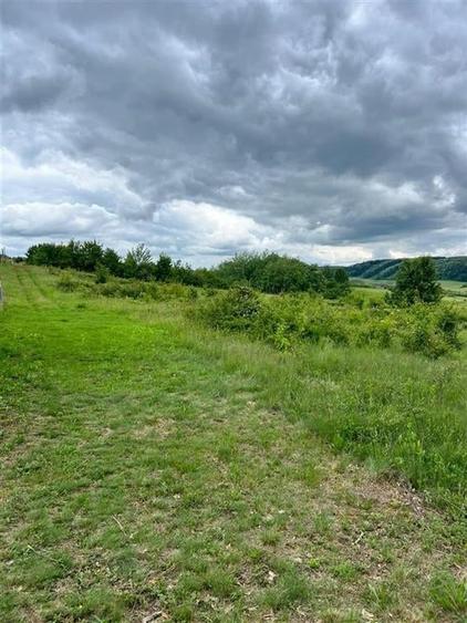 RECO teren de vanzare in zona Betfia - 9