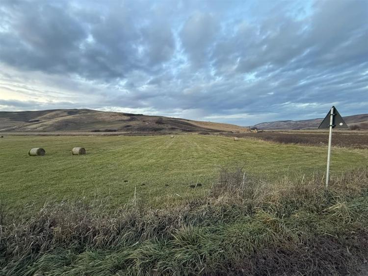 Teren Extravilan I 6000 Mp I Acces la drum | Cojocna - 3