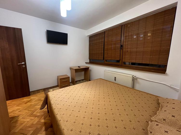 Baba Novac-Brancusi, parc IOR, etaj 1, deosebit - 5