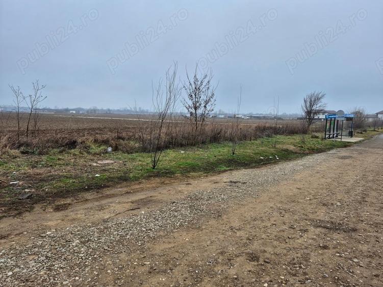 vanzari terenuri - 2