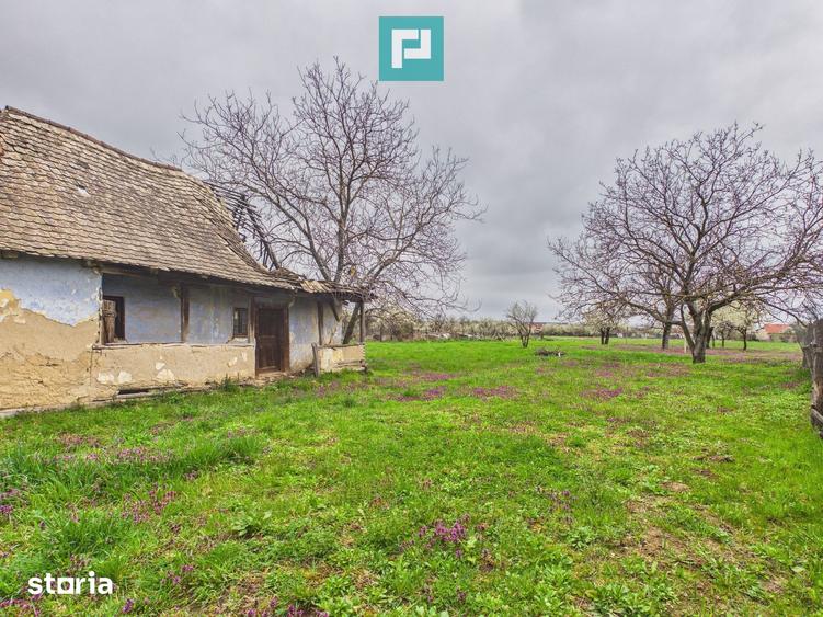 Teren de 2777 mp, în Oșorhei