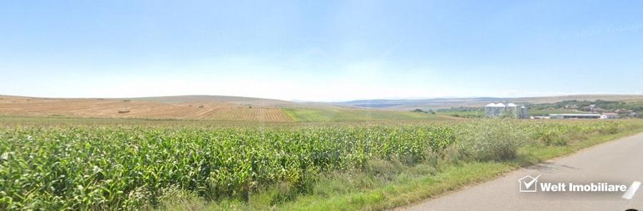 Teren extravilan in Rediu - Aiton, 4300 mp, la 150 m distanta de intravilan - 1