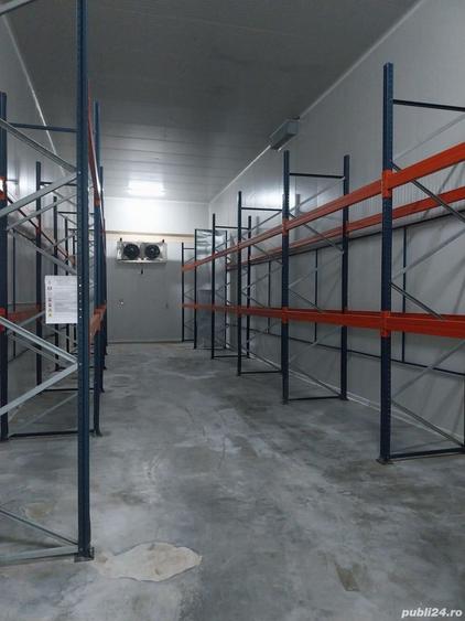 inchiriez hale depozitare cu rafturi si depozite frigorifice si congelare - 5
