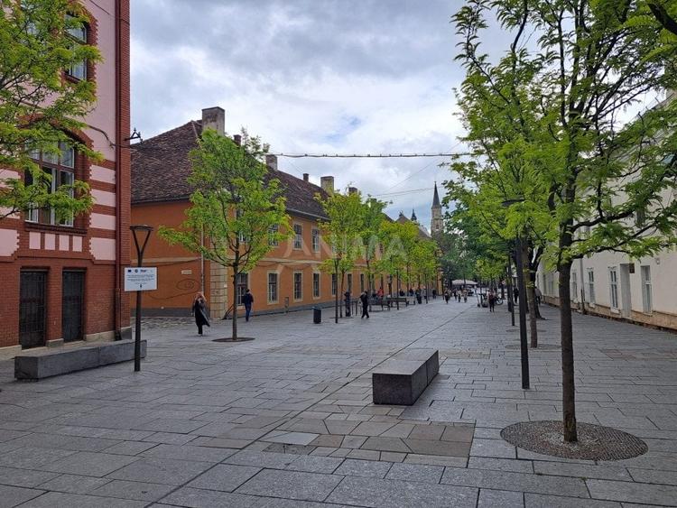 Apartament 2 camere ultracentral, parcare in curte - 12