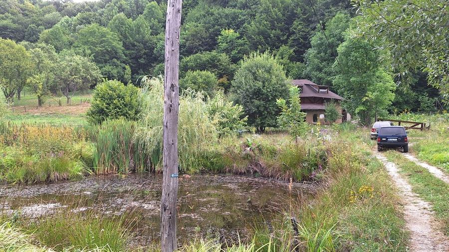 VANZARE ANSAMBLU CASUTE BRADULET ARGES - 1