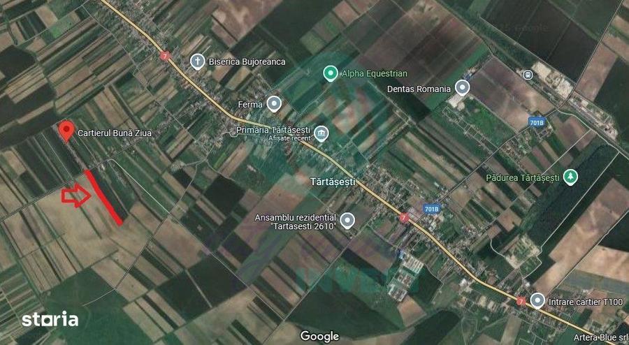 Teren 9923 mp Tartasesti, cu utilitati si acces asfaltat - 3