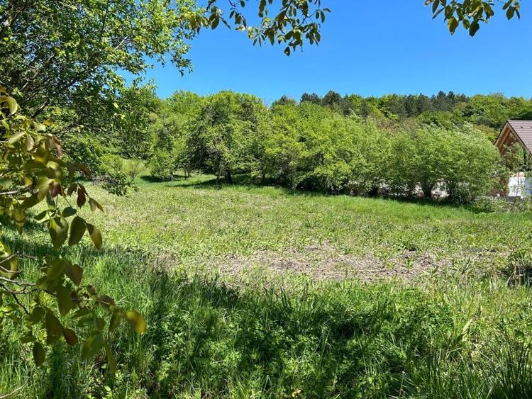 Teren 4.300 mp, front 35 m, Popesti . - 1