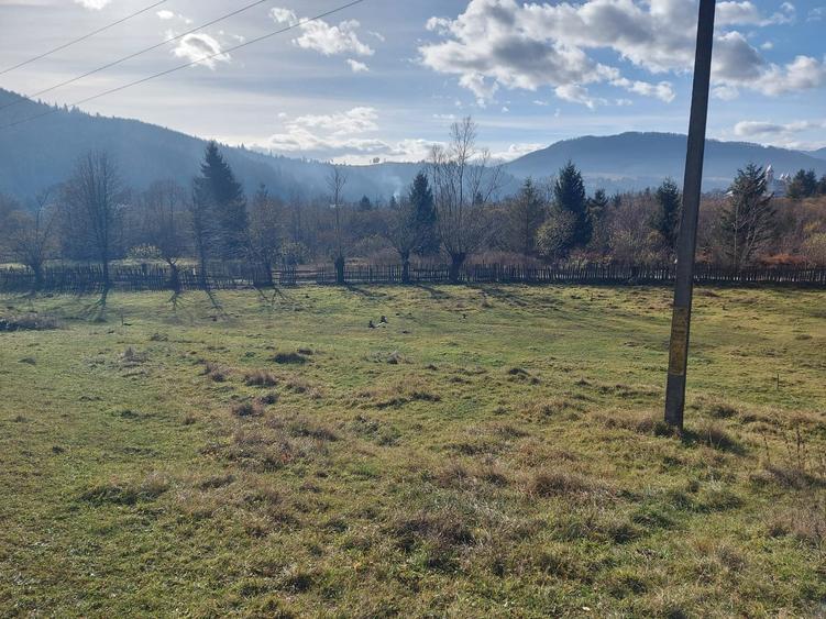 De vanzare teren intravilan 6500 mp Vama- Bucovina - 5