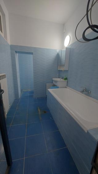 STIRBEI VODA-BERZEI, Vanzare casa  SINGUR CURTE - 16