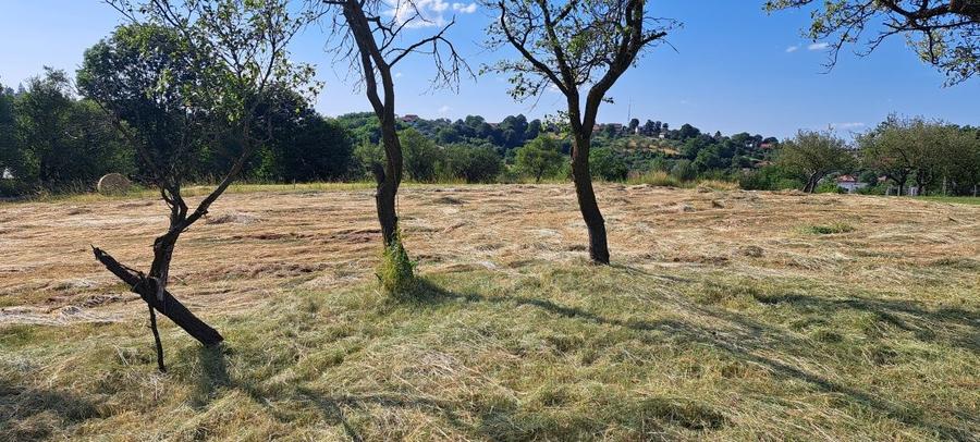 Teren intravilan 2100 mp Feleacu - 6