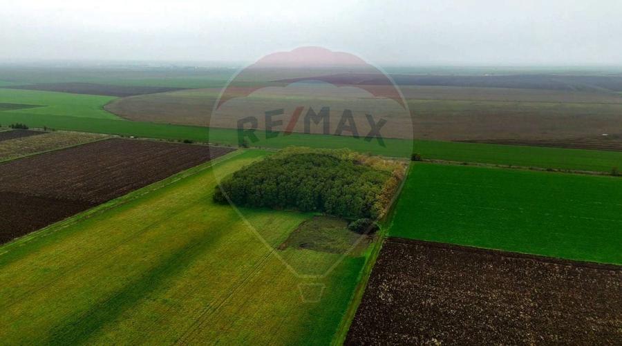 Ferma agro-industriala - 43 ha Adunatii Copaceni - 6