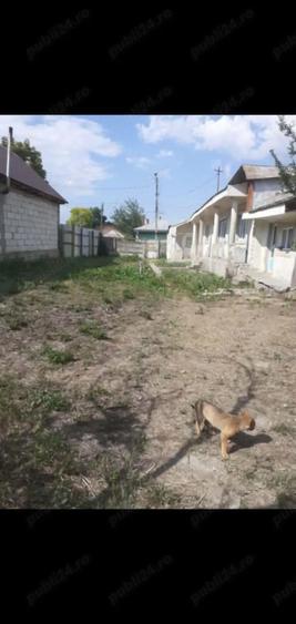 casa de vanzarea - 1