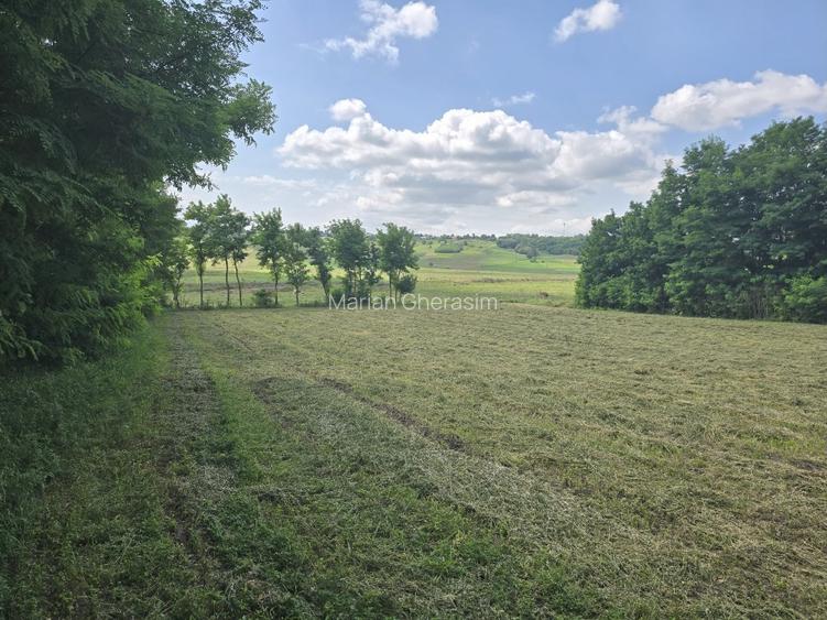 Teren intravilan deosebit - Roma, Botosani Teren intravilan deosebit - Roma, Botosani