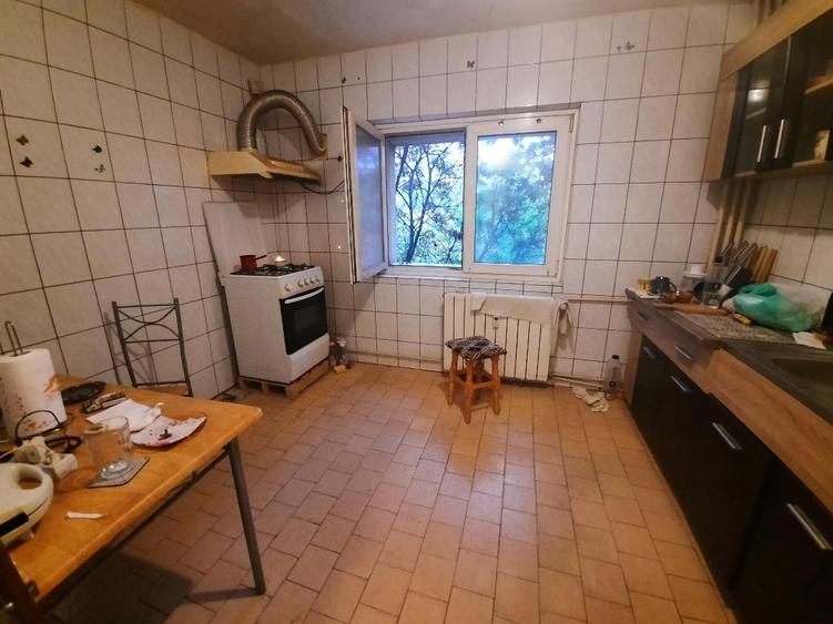 VANZARE 2 CAM 13 SEPTAMBRIE- NEDELEANU ION - 5