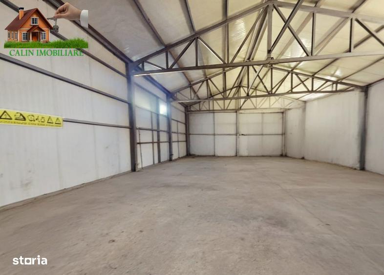 HALA INDUSTRIALA 250 MP VI?OIANU / LUNCA CETA?UII 5 EURO + tva - 3