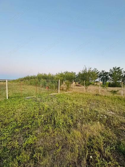 AV655 Teren-Balta 6.663mp, in Masloc-Alios, IDEAL INVESTITIE - 8