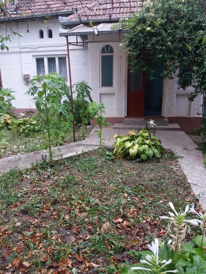 Casa si teren Sanmihaiul de Campie, BN - 6