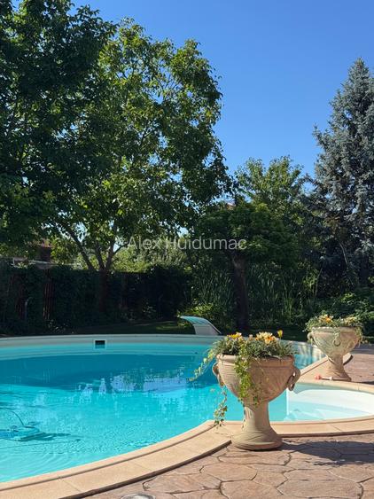 Vila Premium Lipovei Piscina Panouri solare 1180mp teren Vila Premium Lipovei Piscina Panouri solare 1180mp teren