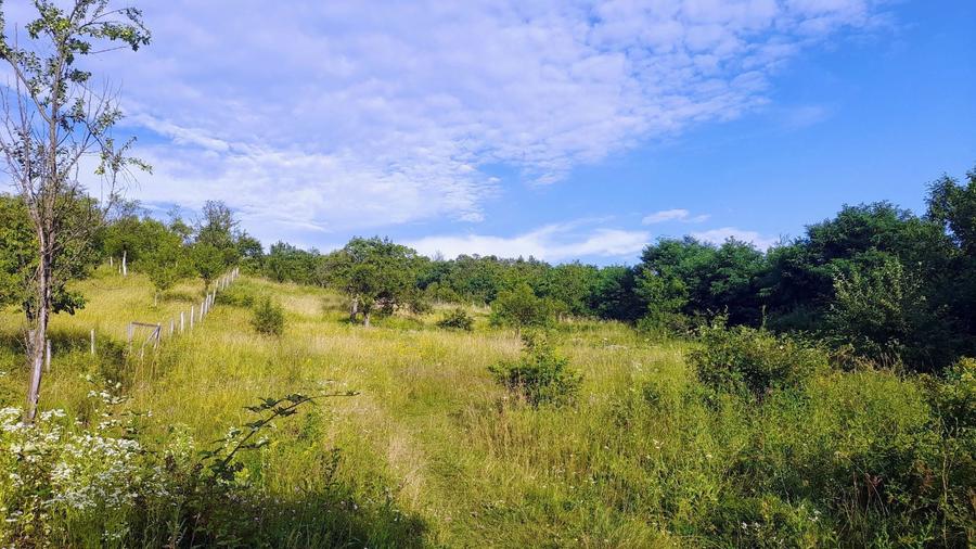 Teren intravilan frumos, Cozia - 4