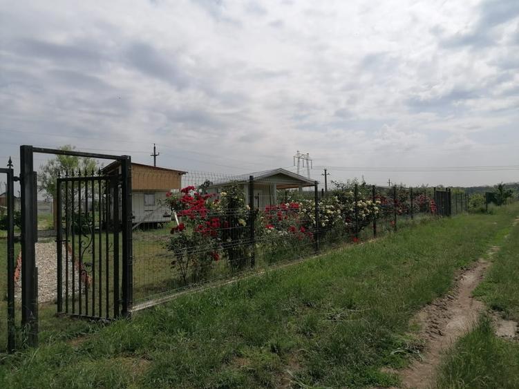 Tartasesti, Dambovita - 9