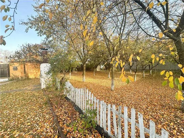 Casa cocheta 2 camere si curte superba Harman - 10