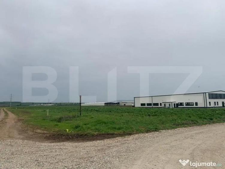 Teren intravilan, 41000 cu PUZ pentru hala, zona Alba-Sebes - 3
