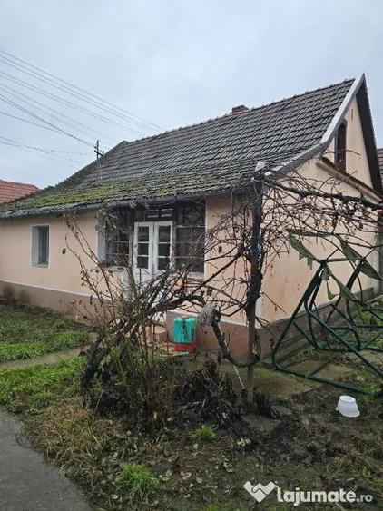 Casa plus anexa parter, Tamaseu central, gaz, sosea , ter 3040 mp - 16