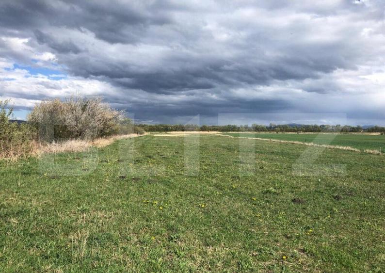 De vanzare teren extravilan 50.000 mp - 2
