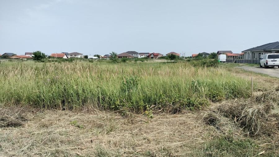 Teren Mosnita Noua in spate MCity 603 mp - 2