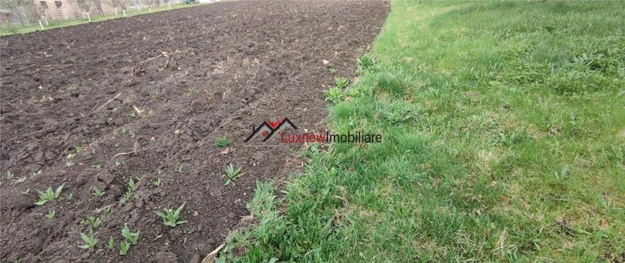 Teren intravilan 600 mp cu utilitati in Suceagu! - 4