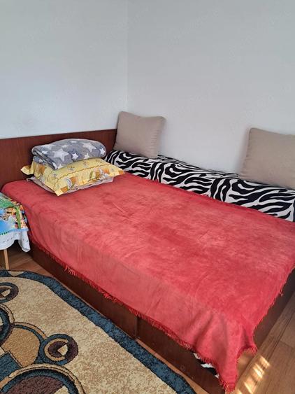 Casa de vanzare la tara - comuna Talpa-Ograzile jud Teleorman - 2