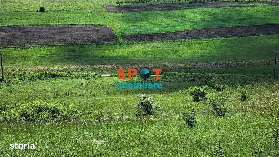 Teren extravilan 2.5 ha investitie ideala, sat Visa - 8