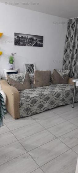 Ap 2 camere, confort 2, Viziru 3, parter cu balcon, mobilat si utilat - 2