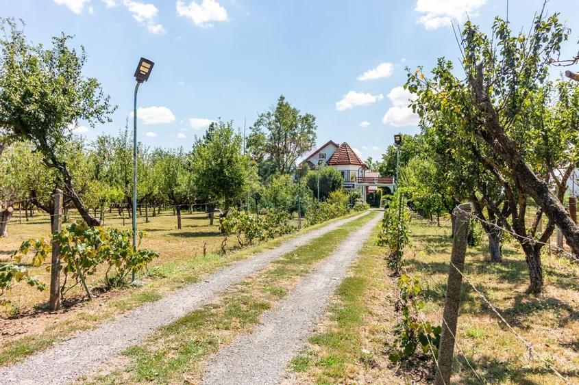 Casa+Laborator+ Teren 12.700 mp + casa de vacanta - Bolintin Vale - 44