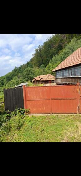 Casa veche la munte cu teren de 7500m2 - 2