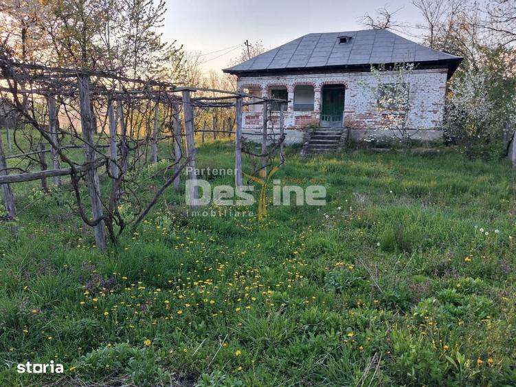 Casa batraneasca cu teren 1150 mp, vie si livada Serbanesti, Paus - 6