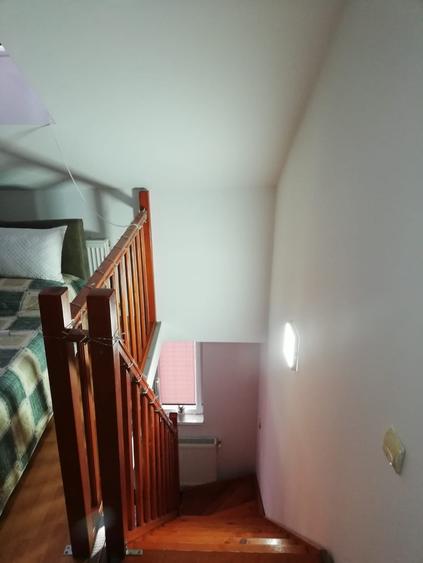 Apartament cu 2 camere, PET FRIENDLY, zona Podu Ros - 4