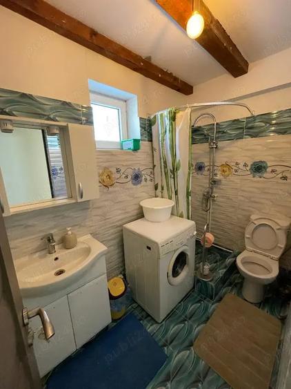 Vand cabana la Belis - 5