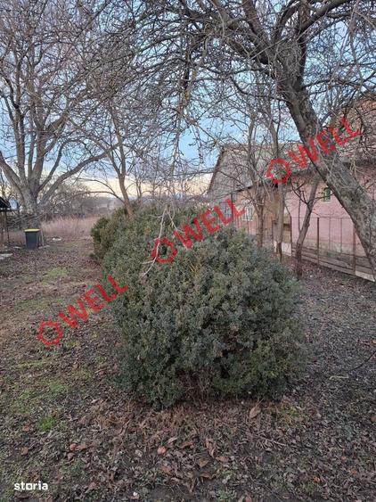 Teren intravilan de vanzare in Ruseni (Targu Secuiesc)! - 2